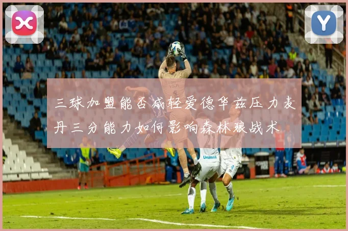 三球加盟能否减轻爱德华兹压力麦丹三分能力如何影响森林狼战术
